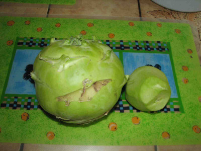 comp_2Riesenkohlrabi_25.07.07_072.jpg