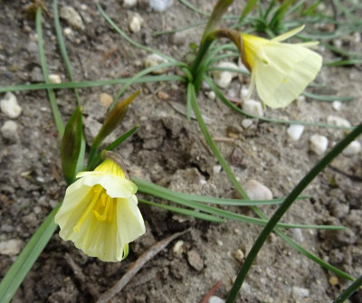 DSC09085.jpg