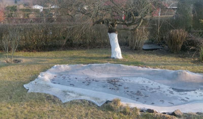 Teich.jpg
