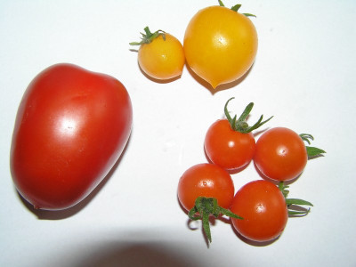 P7300002.JPG