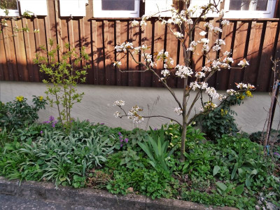 DSC03102.JPG