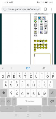 Screenshot_20200404_231356_com.android.chrome.jpg