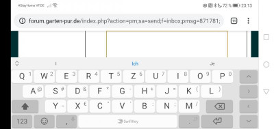 Screenshot_20200404_231336_com.android.chrome.jpg