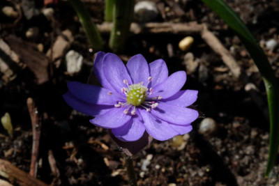 DSCF1876_4662.JPG
