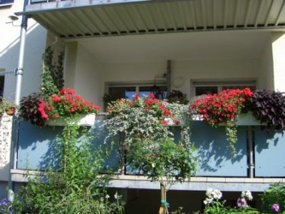 Balkonansicht_1.JPG