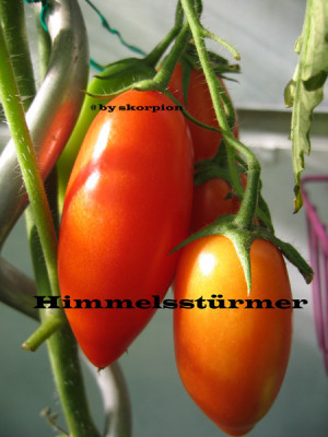 Himmelssturmer-1.jpg