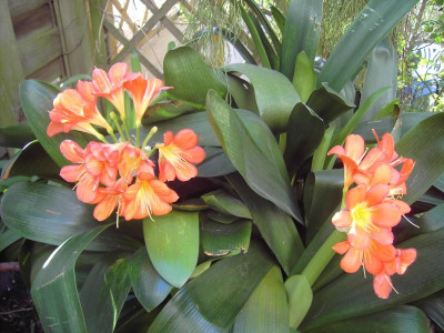 PICT2936.JPG