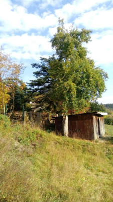 20181007_152229.jpg