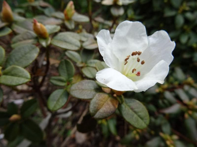 DSC09180-1.JPG