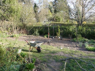 2020-04-11 Garteneinblick 1.jpg