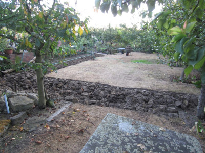 Rasen Neuanlage.JPG