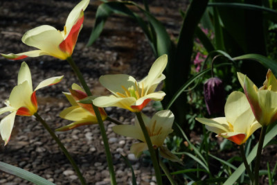 DSCF1952_4678.JPG