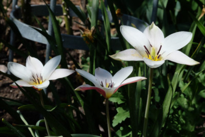 DSCF1955_4679.JPG