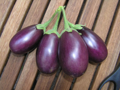 auberginen0108.jpg