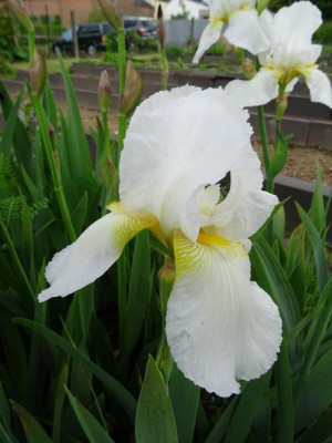 DSC00031.JPG