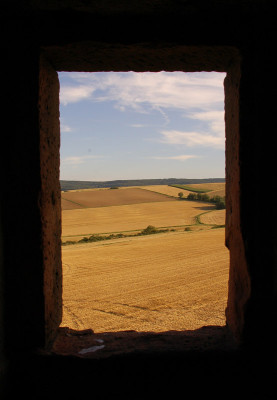 WartturmAusblick.jpg