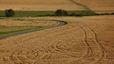 Feldwege.jpg