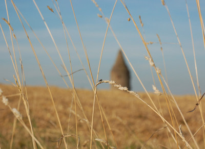 FliegeverdraengtTurm.jpg