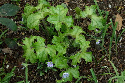 DSCF1979_4689.JPG
