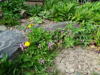 DSC03163.JPG