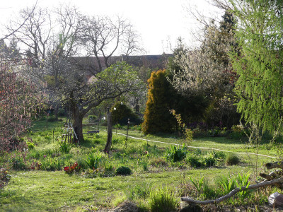 2020-04-17 Garteneinblick 3.jpg