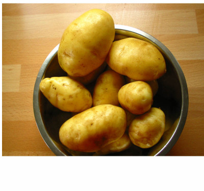 Braunfaule_Kartoffeln_07_3.jpg