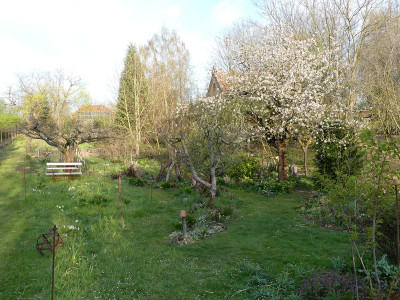 2020-04-17 Garteneinblick 5.jpg