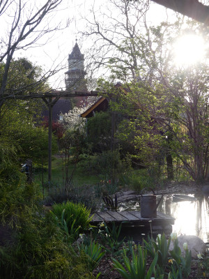 2020-04-17 Garteneinblick 6.jpg