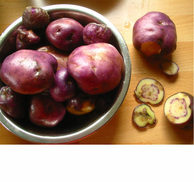 Braunfaule_Kartoffeln_07_2.jpg