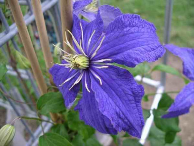 IMGP3947.JPG