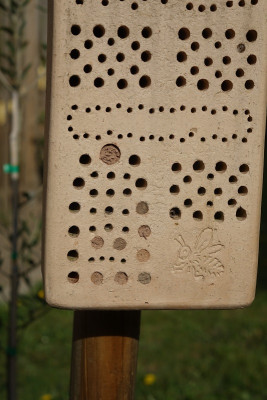 Bienenstein 2020-04-18.jpg