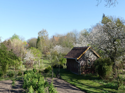 2020-04-18 Garteneinblick 10.jpg