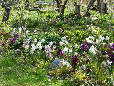 2020-04-18 Garteneinblick 3.jpg