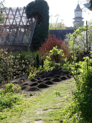 2020-04-18 Garteneinblick 12.jpg