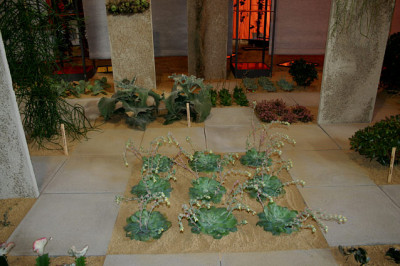 Waldkirchena2507.jpg