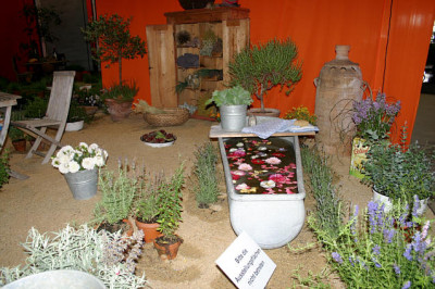 Waldkirchena2807.jpg
