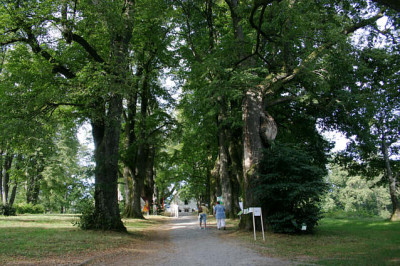 Waldkirchena4507.jpg