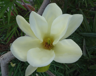 DSC07240.jpg