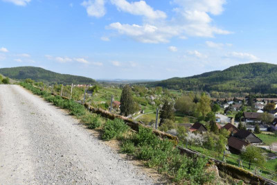 geigersberg april 030.JPG