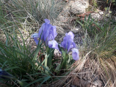 20200416_111054.jpg