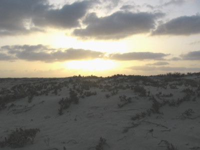 Abendstimmung_in_den_Dunen.jpg