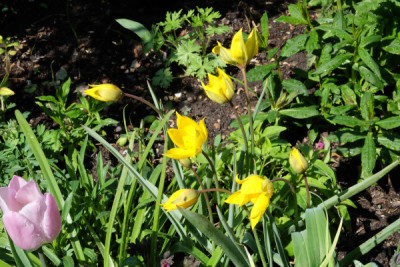 DSCF2066_4710.JPG