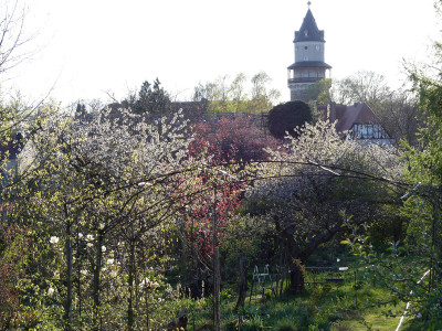 2020-04-20 Gartenimpressionen 4.jpg