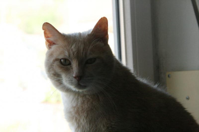 April0420.JPG
