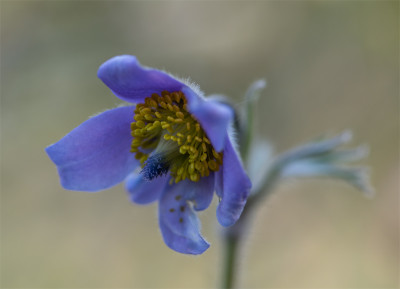 20200423_1.jpg