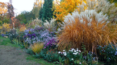 2018-10-11 Gartenimpressionen 3.jpg