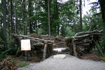 Waldkirchena8407.jpg