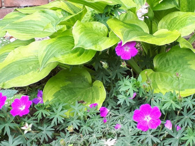 20190609_175147.jpg