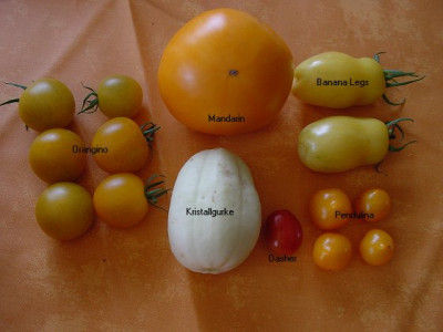 2207_08_04_Ernte.jpg