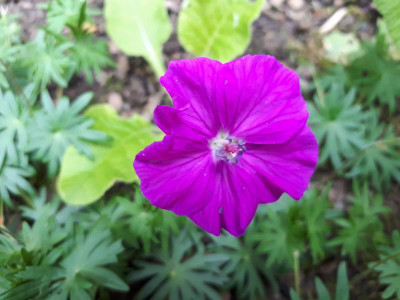 20180524_163922.jpg